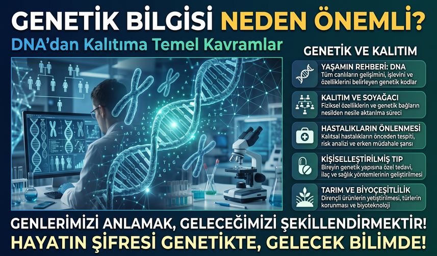 Genetik Bilgisi Neden Önemli? DNA'dan Kalıtıma Temel Kavramlar