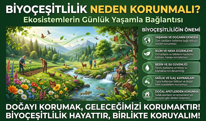 Biyoçeşitlilik Neden Korunmalı? Ekosistemlerin Günlük Yaşamla Bağlantısı