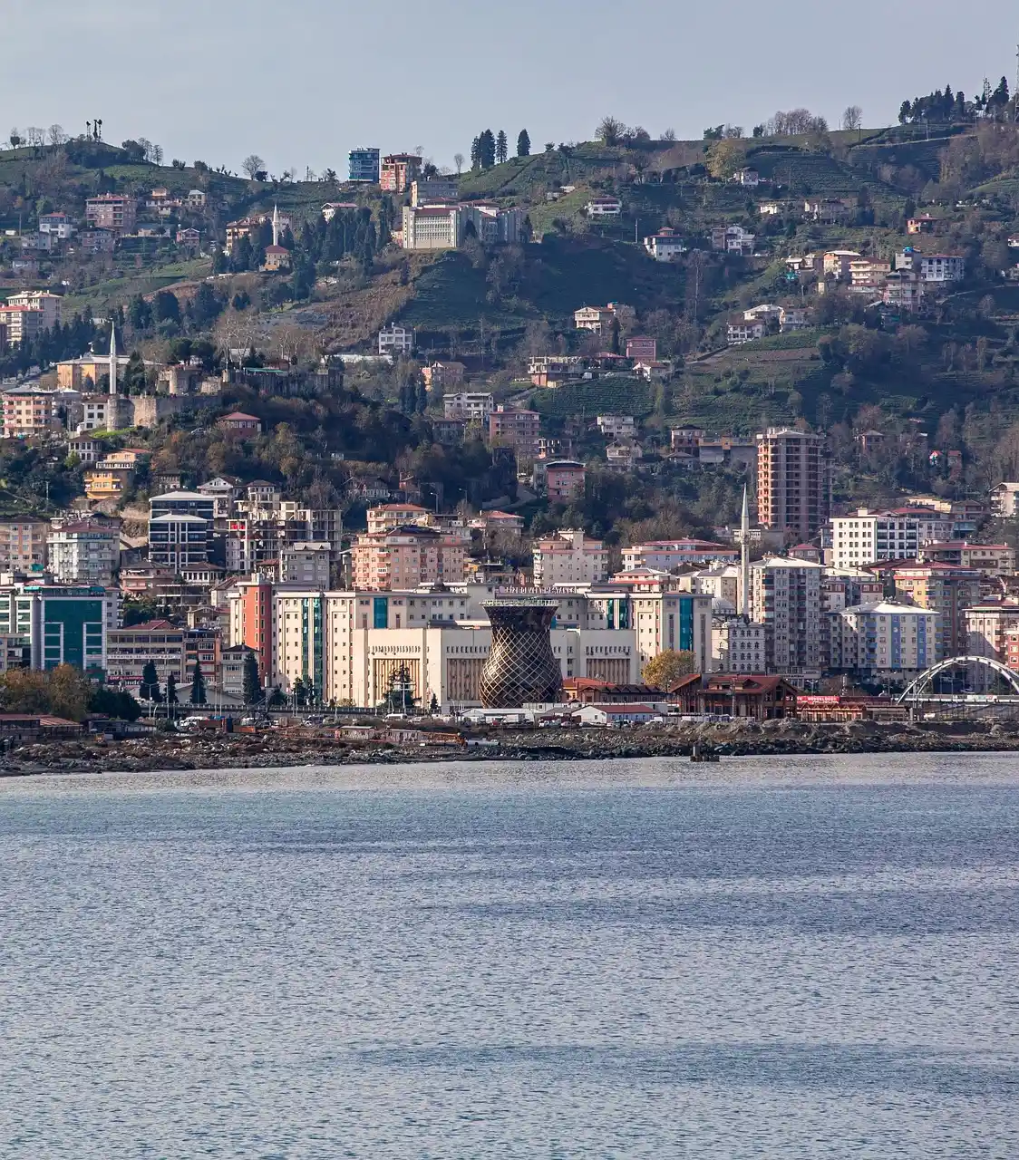 Kaybolmadan Önce Görün: Dünyanın En Nadir Hayvanları ve Doğanın Büyüsü